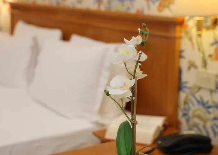 Lvg Collection - Majestic 4*